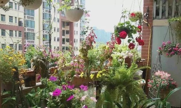  阳台：有一个小阳台，那就让它美成一道风景！