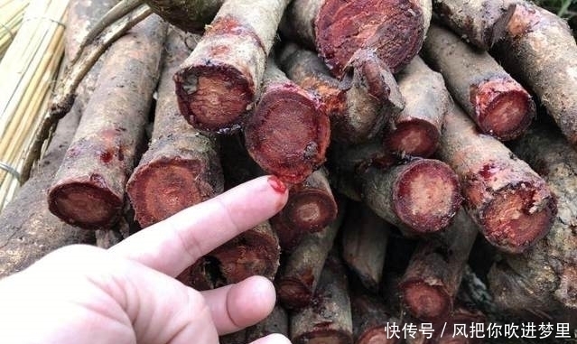 农村大叔在集市上所卖的一捆“生柴”,竟狮子大开口要价100元！