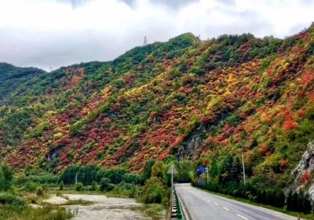 秦岭这条公路，秋天必驾，5处醉美之地值得看看