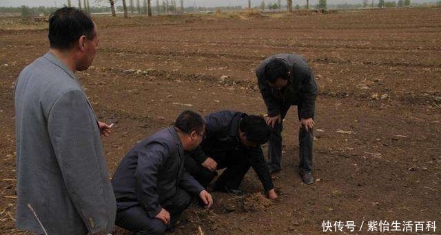  【条件】农民有偿永久退出土地，需要满足这样的条件，早了解早