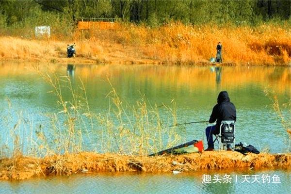 『策略』早春野钓策略,注意这些方式方法,这可是春钓连竿上鱼的关键