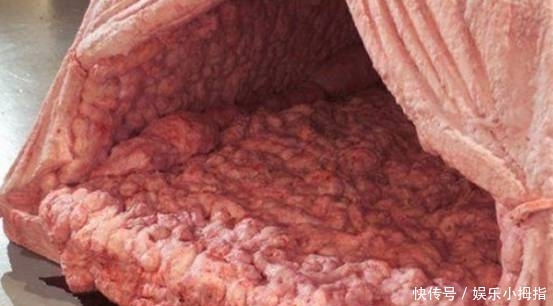 在帐篷里待一晚就给一万美金，很多人想挑战，看到帐篷后纷纷放弃