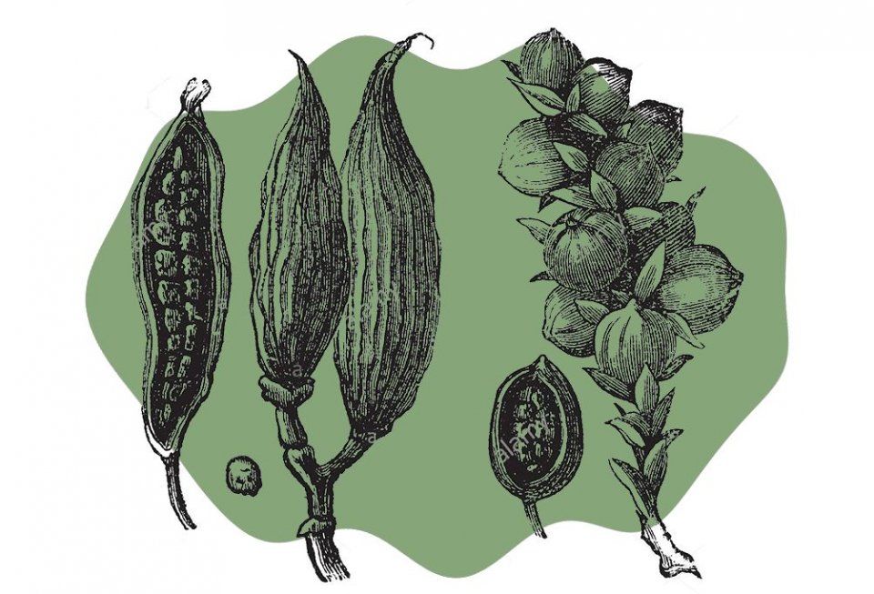 科普||吃胎盘，敷猪蹄面膜:看《延禧攻略》的娘娘们教你如何变美