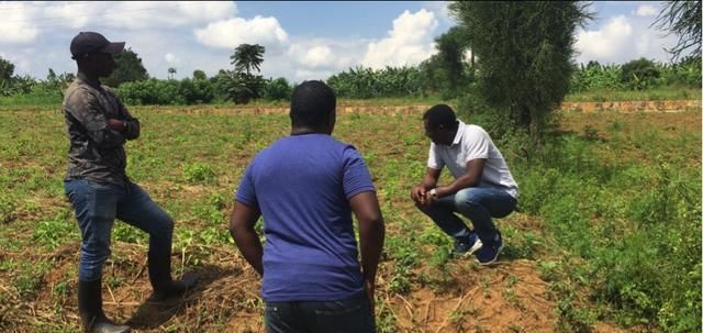  妻子@中科院非洲籍博士毕业携中国妻子回卢旺达种辣椒的背后