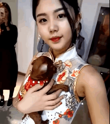 女子穿旗袍参加活动, 小狗趴着的位置亮了, 网友: 放开那个女孩