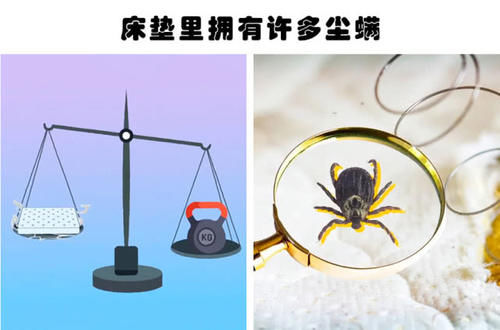  『隐藏』生活中非常常见的7种事物背后所隐藏的秘密