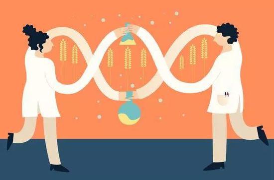 彻底击碎转基因致癌谣言?耗资过亿三大研究发布结果