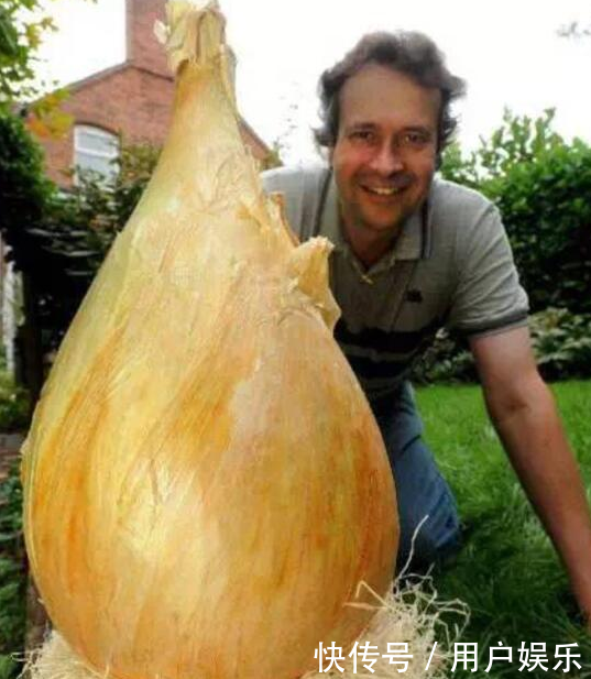 一农民频频种出巨型蔬菜,拿三套别墅,他们都不肯透露其中的秘密！