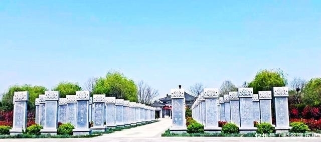  牡丹|中国牡丹之都，牡丹比洛阳还有名，人口是太原的2倍！