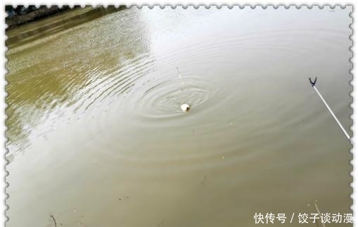 『大草』金圭鲤干上大草,顾不及断线跑鱼