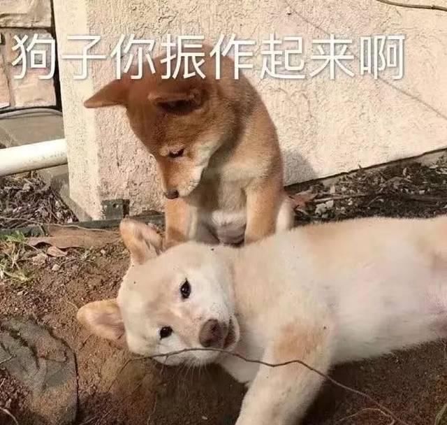  『闷青亚麻』换发色=换张脸！2020这5款发色最显白！太美了！！！