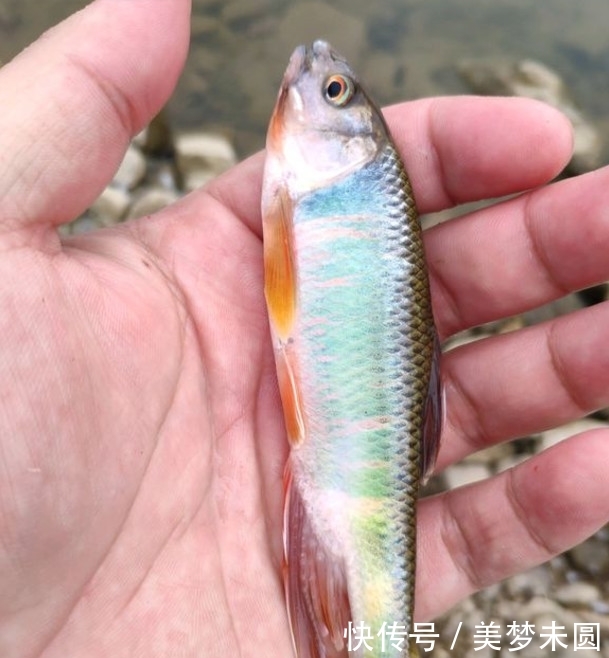 『钓友』钓鱼真的能穷三代?心态摆正,钓鱼真的是个低消费活动