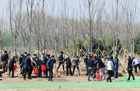  [海淀区]海淀区百余人参加义务植树