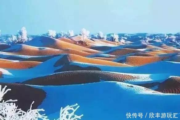 额济纳旗下雪了！雪后的白色胡杨林，惊艳了所有人！