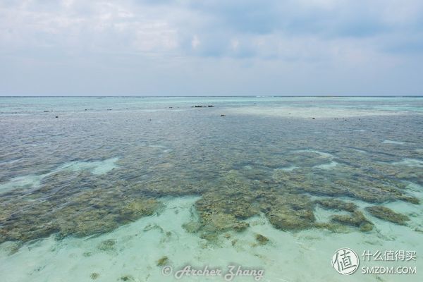 这不只是一个地方--马尔代夫悦椿薇拉瓦鲁游记 篇三:在马代居然活