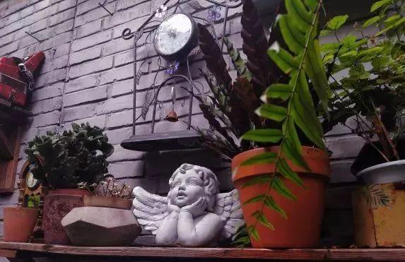 藏在北京小院里的悠闲小时光，生活原来可以这么惬意