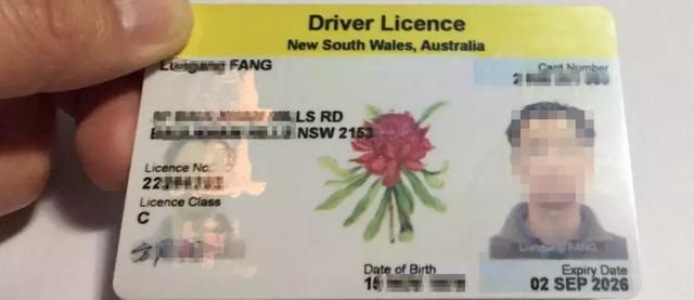 “国际驾照”在海外开车遭逮捕！中国大使馆发提醒：谨防骗局！