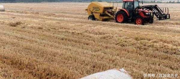 农村人好消息2项补贴已到账，家家近千元，没到的快找村干部