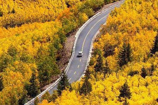 中国最美的几条自驾游公路,一定要开上爱车去一次,错过实在可惜