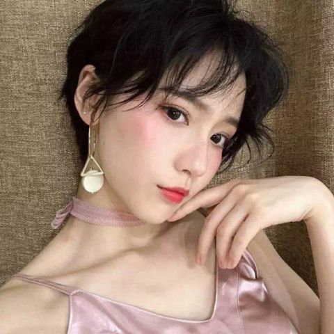 爱情公寓诸葛大力小说