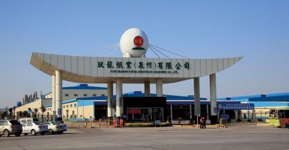 她28岁创业，49岁成明星女企业家，以450亿财富上榜