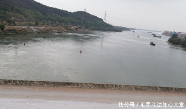 『小鱼虾闹窝』浮漂一直动在那动,但提竿确钓不上来鱼的真正原因,全都在这了