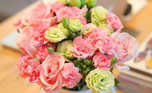  『小花』此5款小花最好养，花朵粉嫩丰腴，娇憨可爱，阳台变百花园，大气