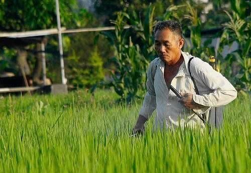  【何在】在农村，“半工半农”的人为什么攒不到钱，原因何在？