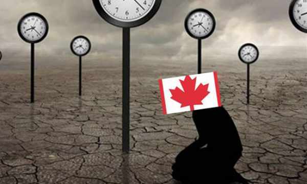 什么条件中国释放加拿大人?外交部两个字回应
