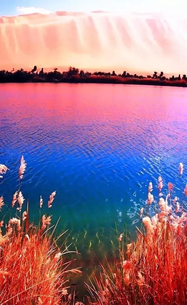 天堂照片!(快看)