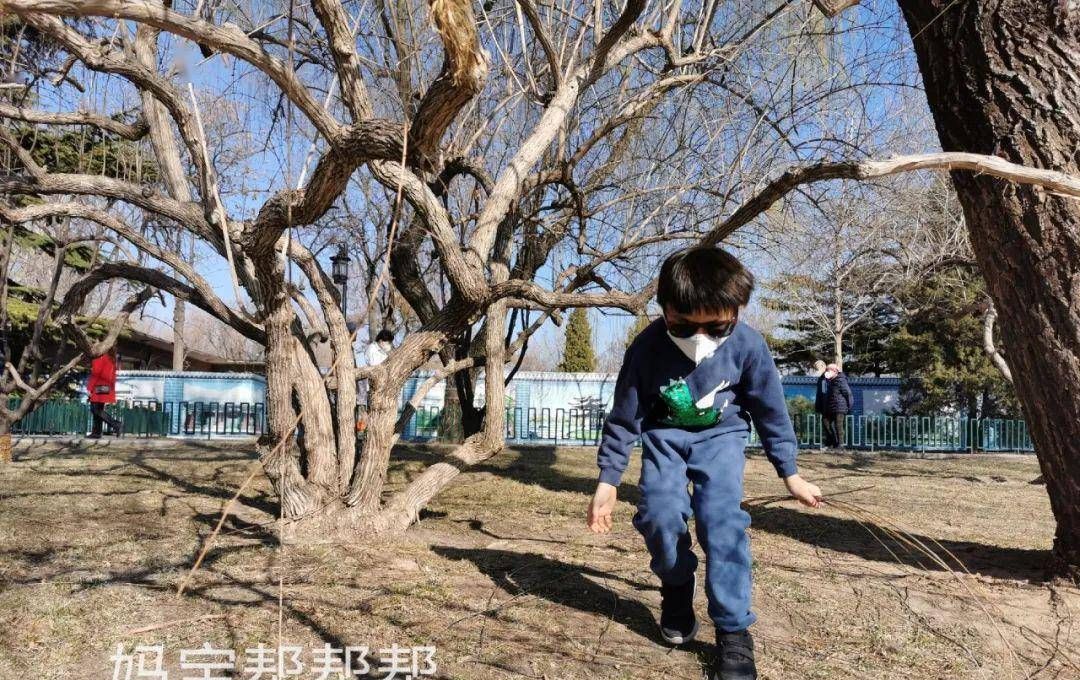 「春秋」男童裤子2020春季新款中大童运动洋气韩版儿童休闲裤春秋款潮