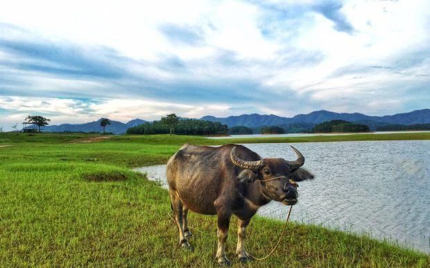 比青岛慢,比厦门小清新,广东这座小城不出名却是拍照胜地