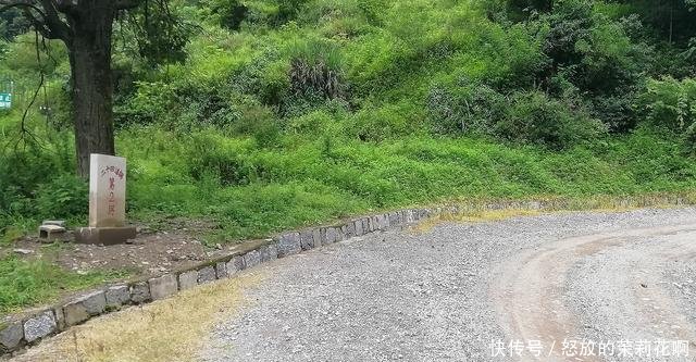 大名鼎鼎的24道拐，半价50元上山看一条盘山路，你觉得值吗