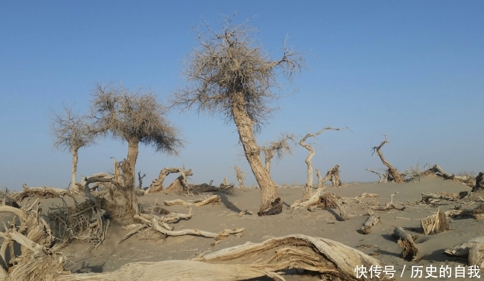  「湖泊」八百里“借水”将荒野变成湖泊，只用十六年，中国再一