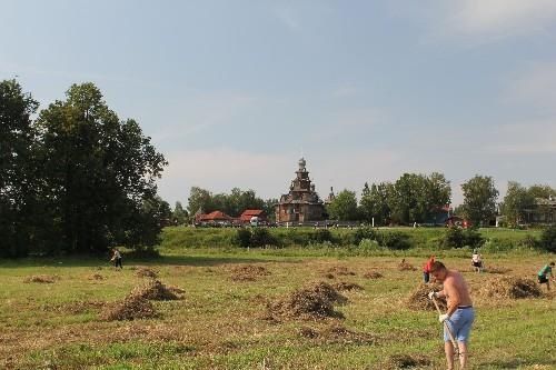  「天赋」靠种菜天赋，10万东北农民征服远东，俄罗斯姑娘：嫁人