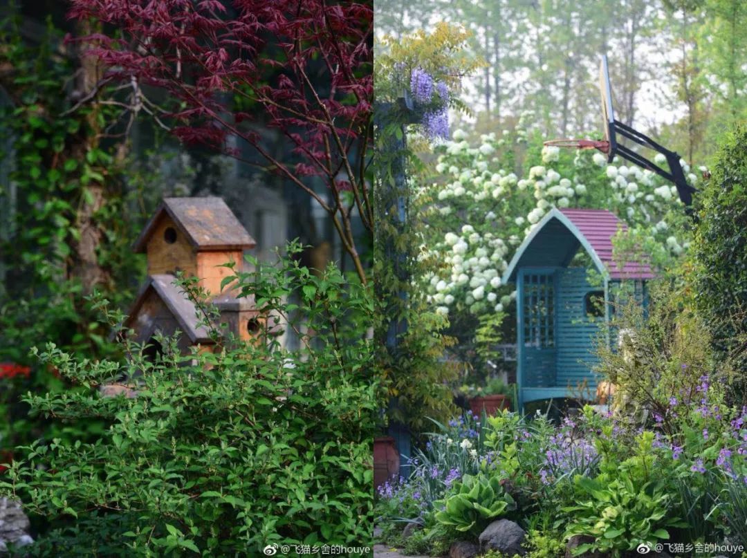 40岁高薪夫妇提前退休，造3000㎡花园惬意养老，还有酒坊！