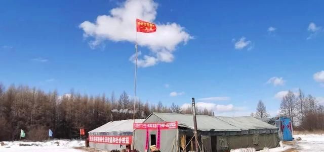  [生动]森林抚育：大山深处最生动的场景