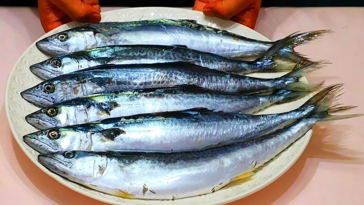  「碰到」春天碰到这鱼，我从不讲价，一次必买好几条，简单一做就特香！