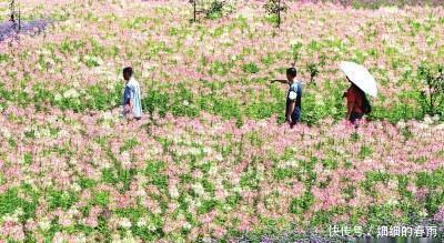 广元避暑胜地，让你清凉一夏