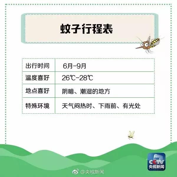 蚊子叮咬非小事，这些防蚊谣言不要信