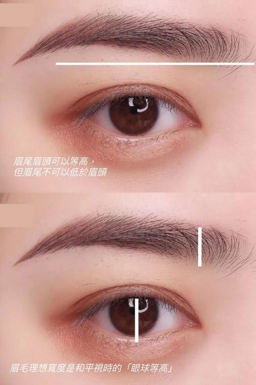 『化妆师』眉毛不会画?化妆师教你如何用3步骤画出好看的绒雾眉毛,快get