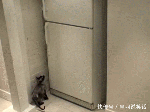  『出品』搞笑gif：蓝翔出品，必属精品！