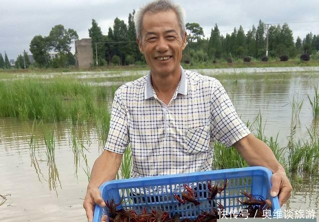 江苏盱眙和湖北潜江, 谁才是中国小龙虾第一县