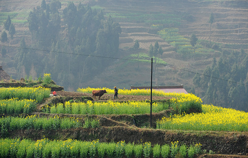 一山分南北的“华夏龙脉”，如果没有秦岭会是什么样的中国！