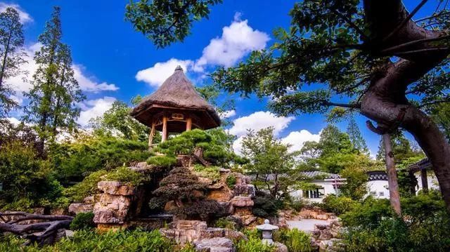 国内最大的专类盆景园，江南园林海派风格美不胜收