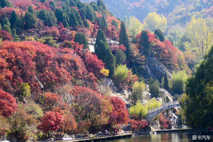 红遍万山的红叶谷【2020热门旅游景点】