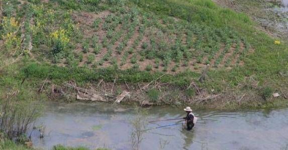  「水域」这几种水情，地势再好也不能下竿