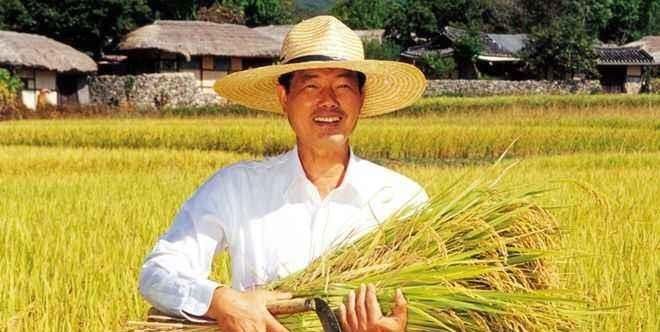  「农村」农业新风口已经显现，农村万事俱备，农民乘风破浪的时