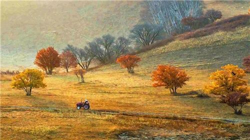 两千块也能玩出小众新天地?带你深度体验秋天最美神秘大草原