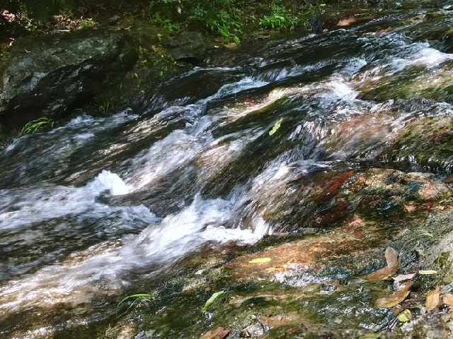 拍美照嬉水纳凉，九溪这两天特别好看，快去打卡